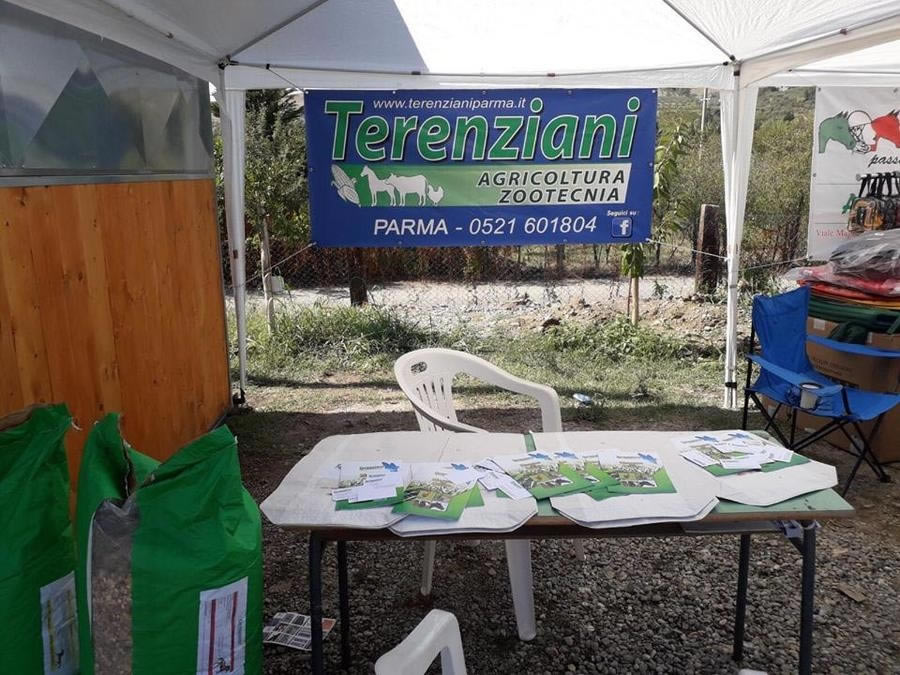 3° RADUNO EQUESTRE A SOVERIA SIMERI