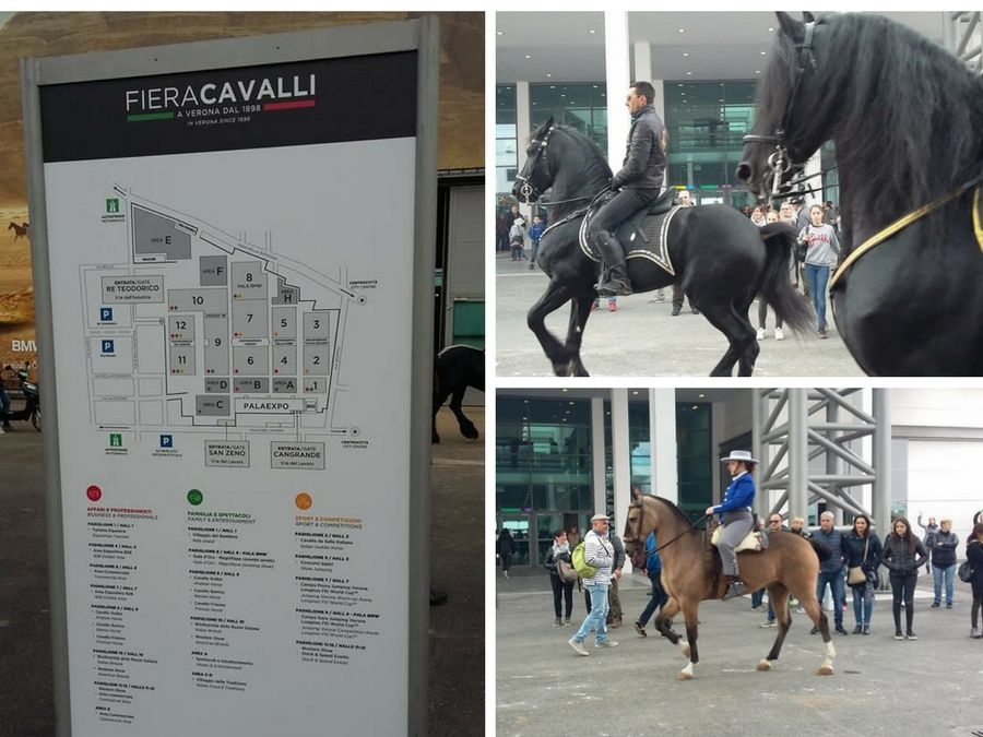 Partecipazione all'evento Fieracavalli Verona 2017