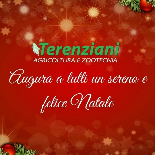 Auguri di buon Natale