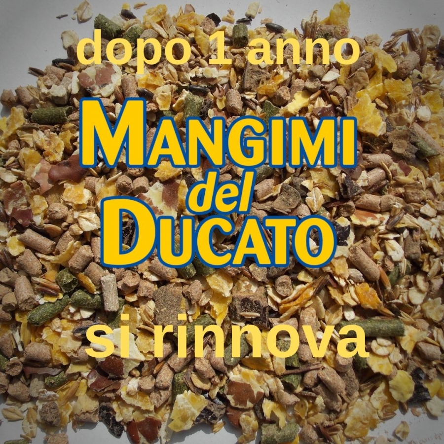 MANGIMI DEL DUCATO DOPO UN ANNO SI RINNOVA