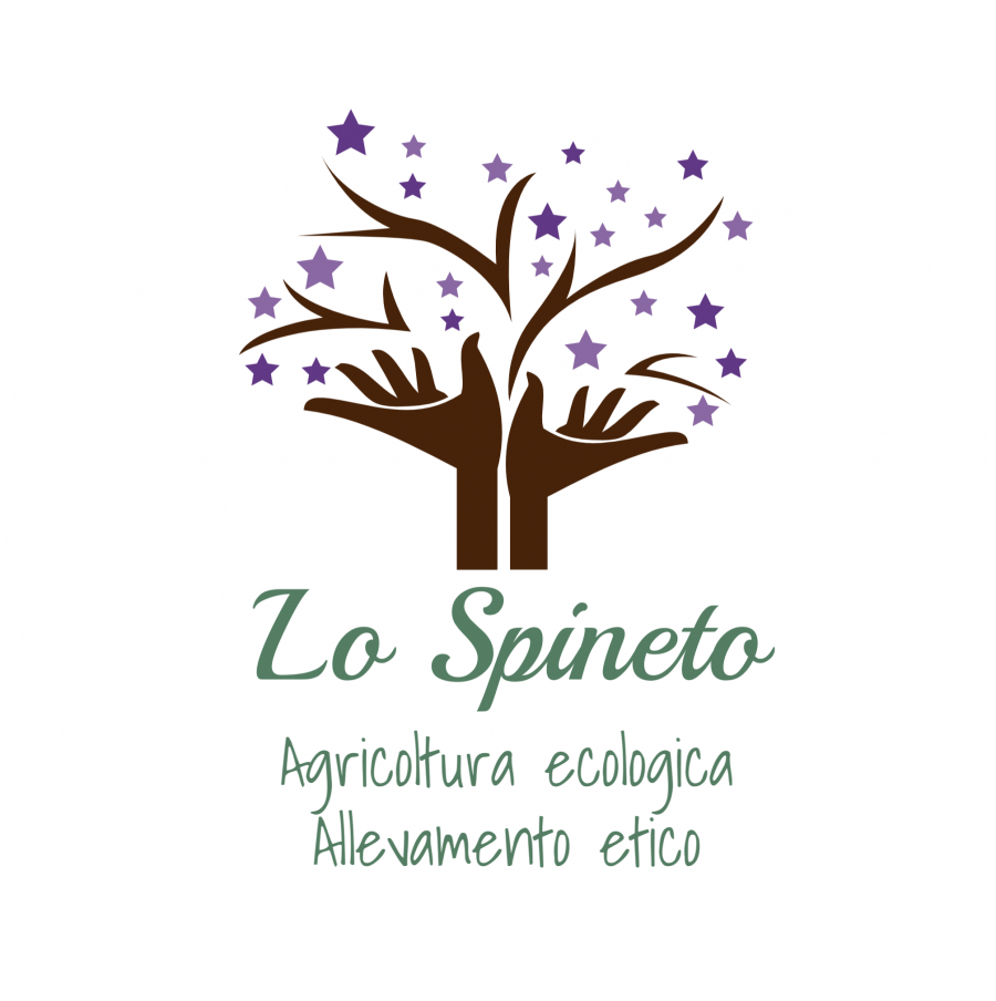 LO SPINETO, IL SUINO NERO DI PARMA