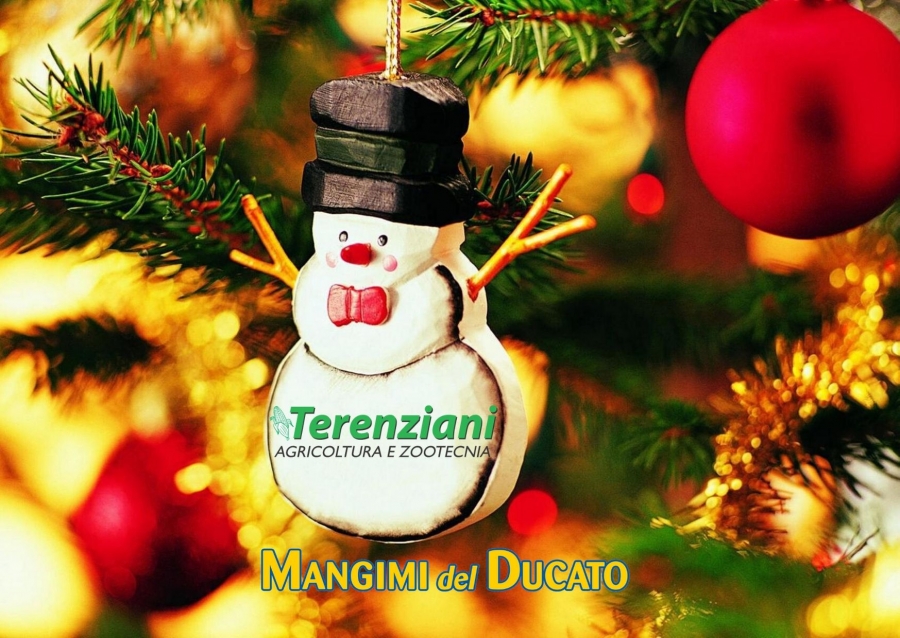 AUGURI DI BUONE FESTE 2019