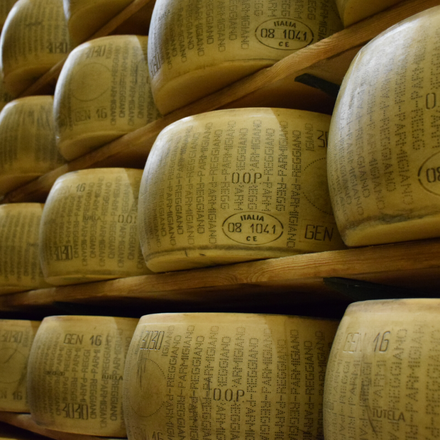 L'ALIMENTAZIONE DELLE VACCHE DA LATTE PER IL PARMIGIANO REGGIANO