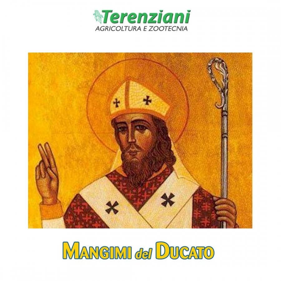 CHIUSURA PATRONO SANT'ILARIO