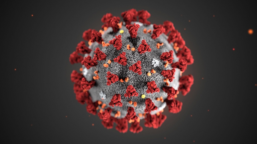 DISPOSIZIONI REGIONALI IN MERITO ALL'EMERGENZA CORONAVIRUS