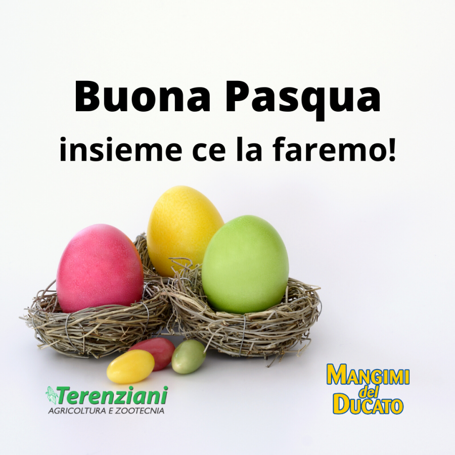 AUGURI DI BUONA PASQUA