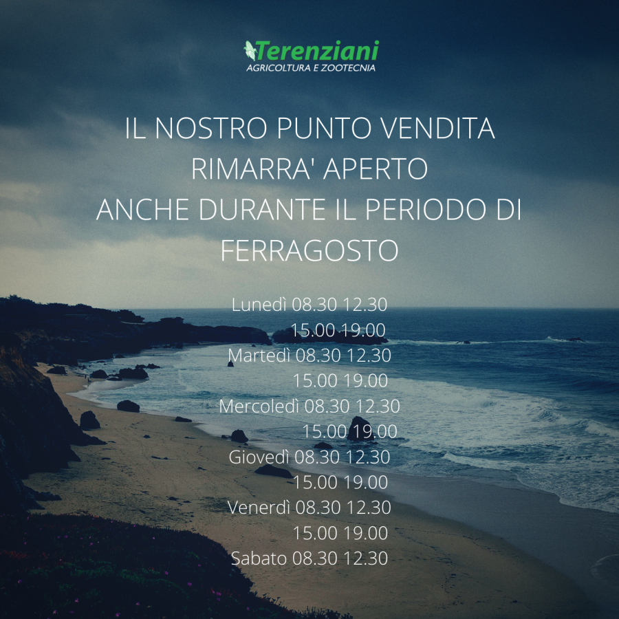 PUNTO VENDITA APERTO DURANTE IL PERIODO DI FERRAGOSTO