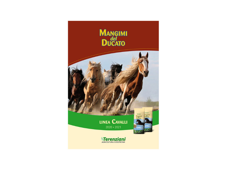 Catalogo Aggiornato dei Mangimi dei Cavalli