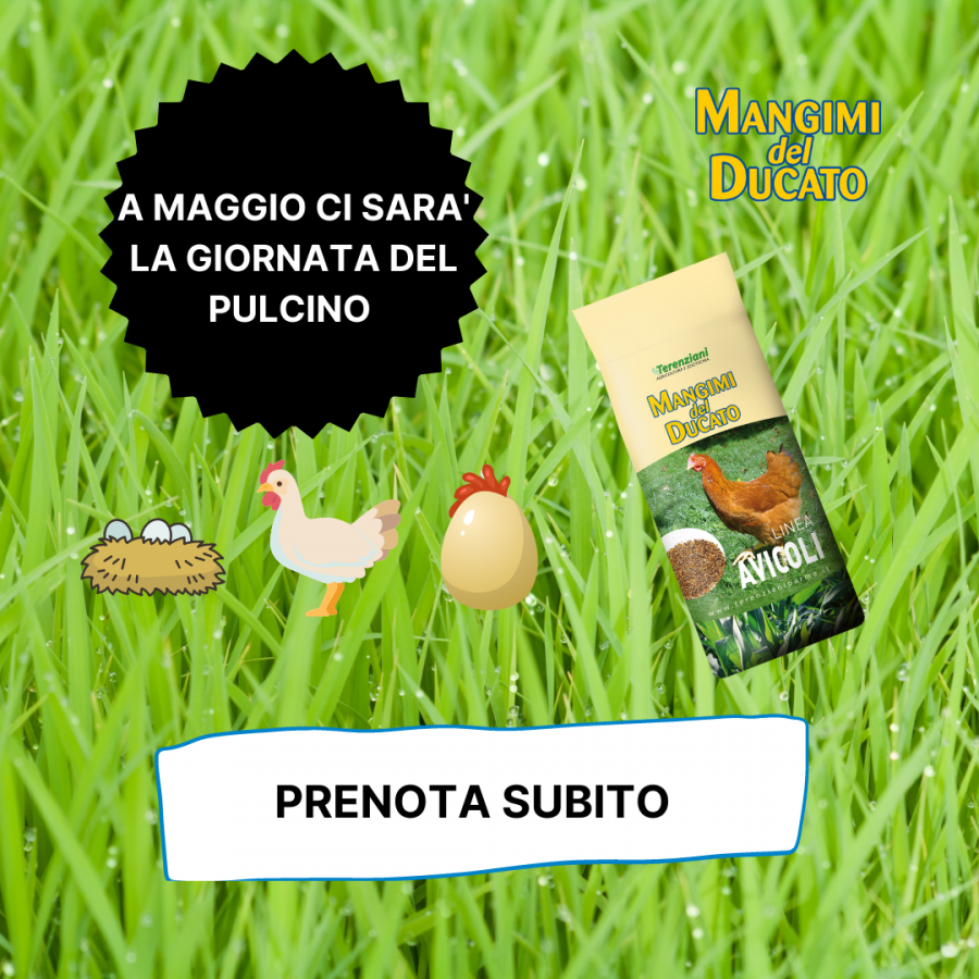 GIORNATA DEL PULCINO MAGGIO 2022
