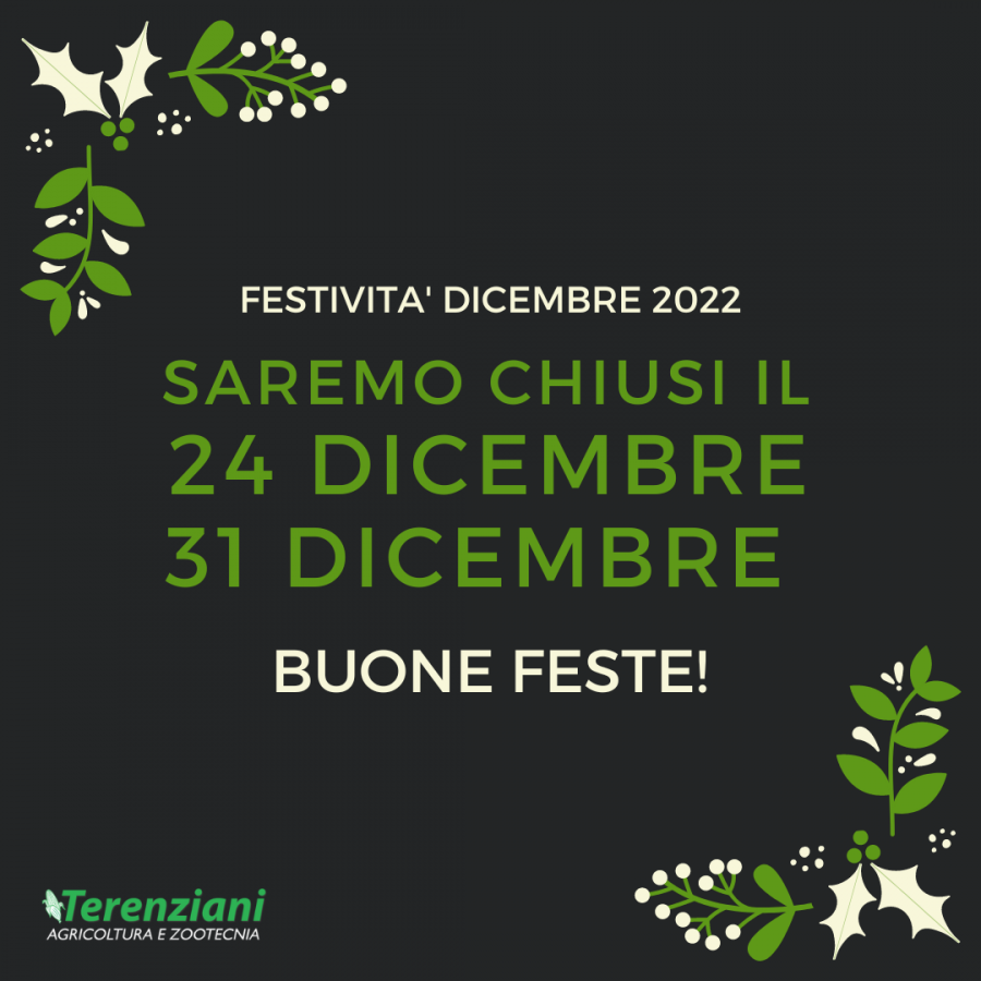 FESTIVITA' DICEMBRE 2022