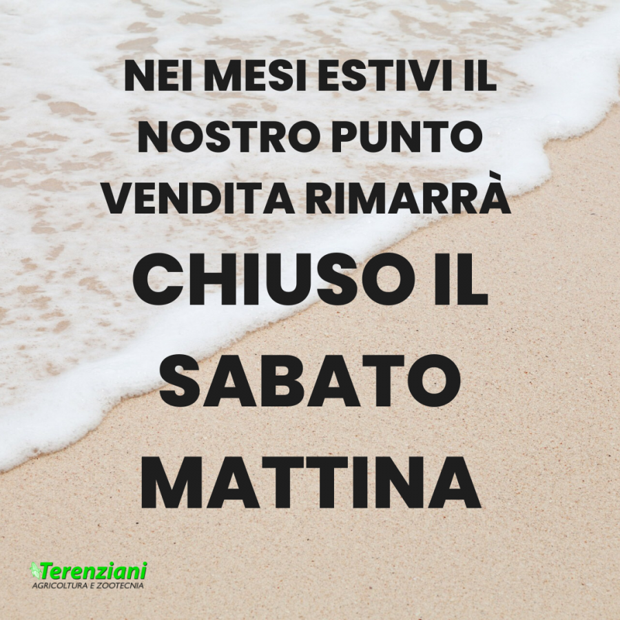 STORE CHIUSO IL SABATO