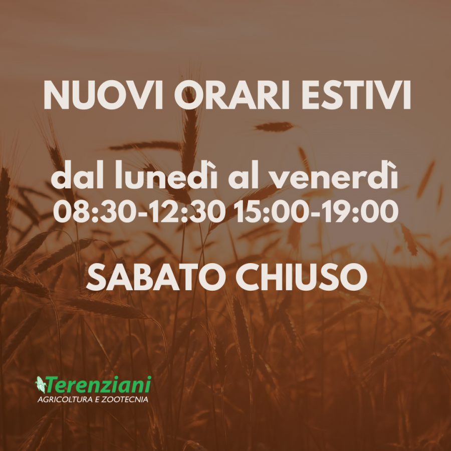 NUOVI ORARI ESTIVI