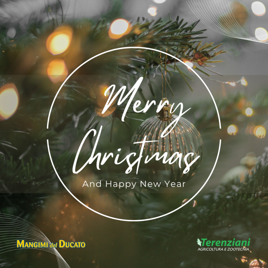 CHIUSURA FESTIVITÀ NATALIZIE