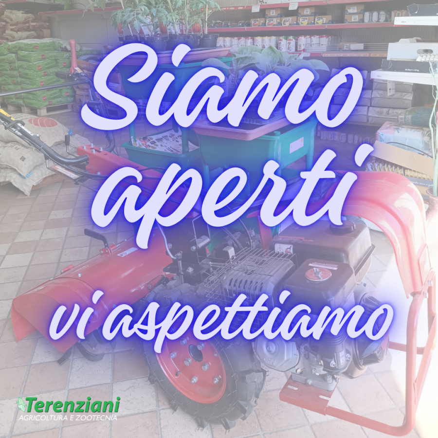 APERTURA PUNTO VEDITA