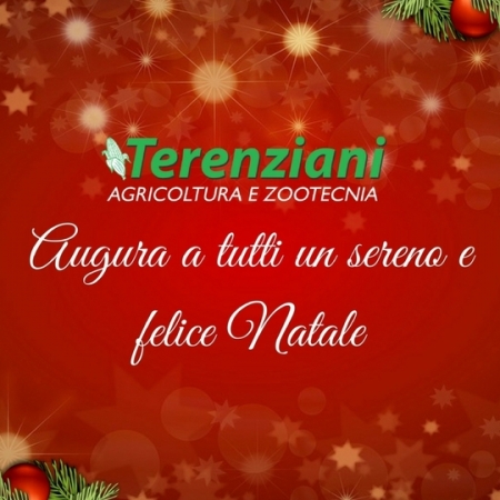 Auguri di buon Natale