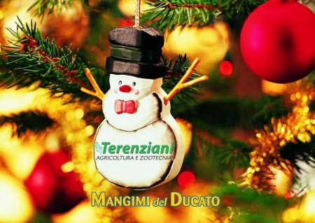 AUGURI DI BUONE FESTE 2019