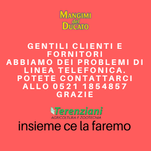 PROBLEMI DI LINEA TELEFONICA