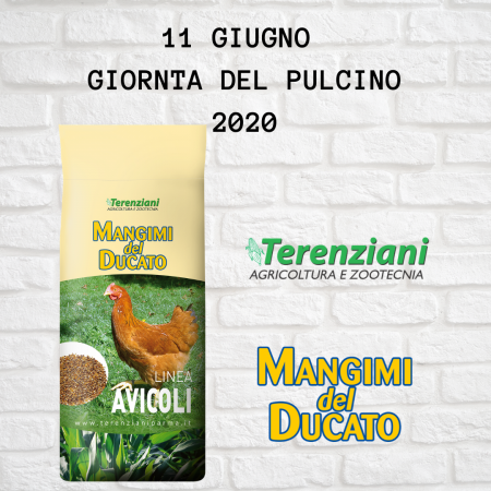 GIORNATA DEL PULCINO 2020