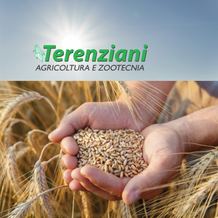 MIETITURA 2020 DEL GRANO DURO, RESA E PRIMI PREZZI DI MERCATO
