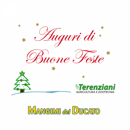 AUGURI DI BUONE FESTE 2020