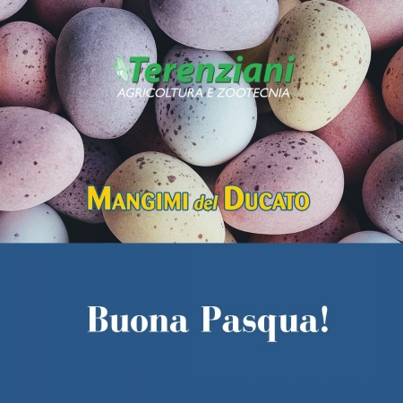 BUONA PASQUA!