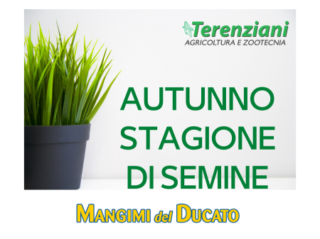 AUTUNNO, LA STAGIONE DELLE SEMINE