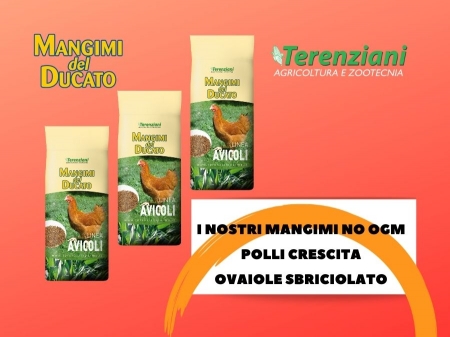 LA QUALITA' DEI NOSTRI MANGIMI OGM FREE, POLLI CRESCITA e OVAIOLE SBRICIOLATO