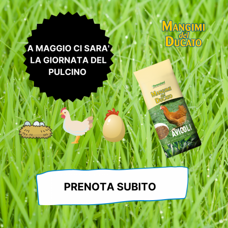 GIORNATA DEL PULCINO MAGGIO 2022