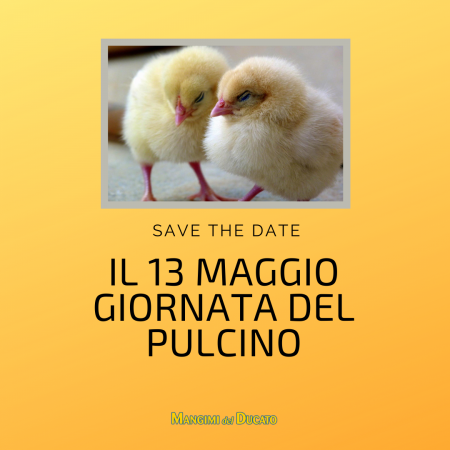 GIORNATA DEL PULCINO MAGGIO 2022