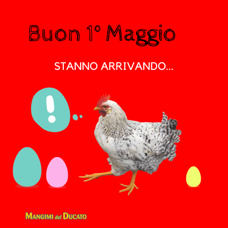 Buona festa dei lavoratori