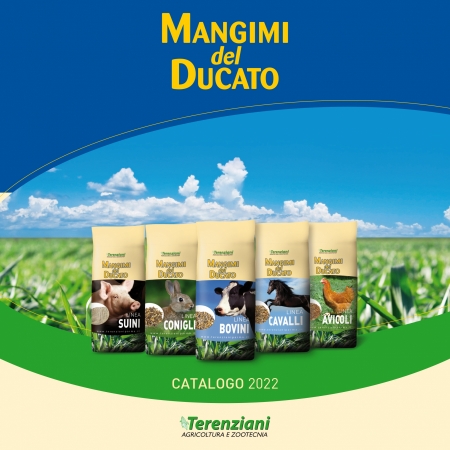 CATALOGO 2022 MANGIMI DEL DUCATO