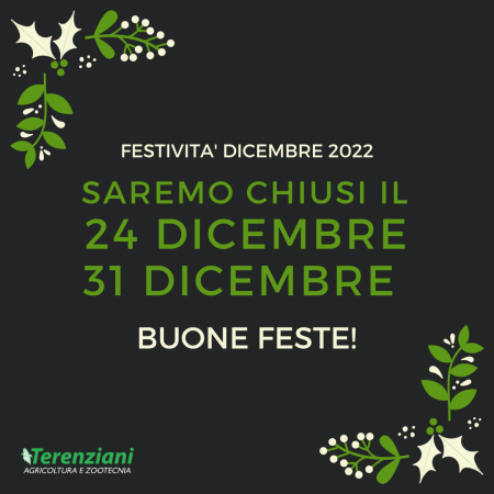 FESTIVITA' DICEMBRE 2022