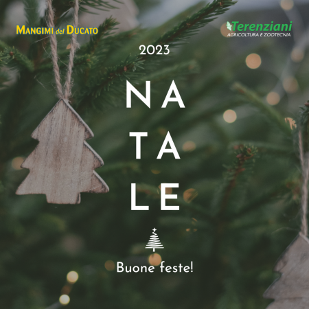 BUONE FESTE, 2023