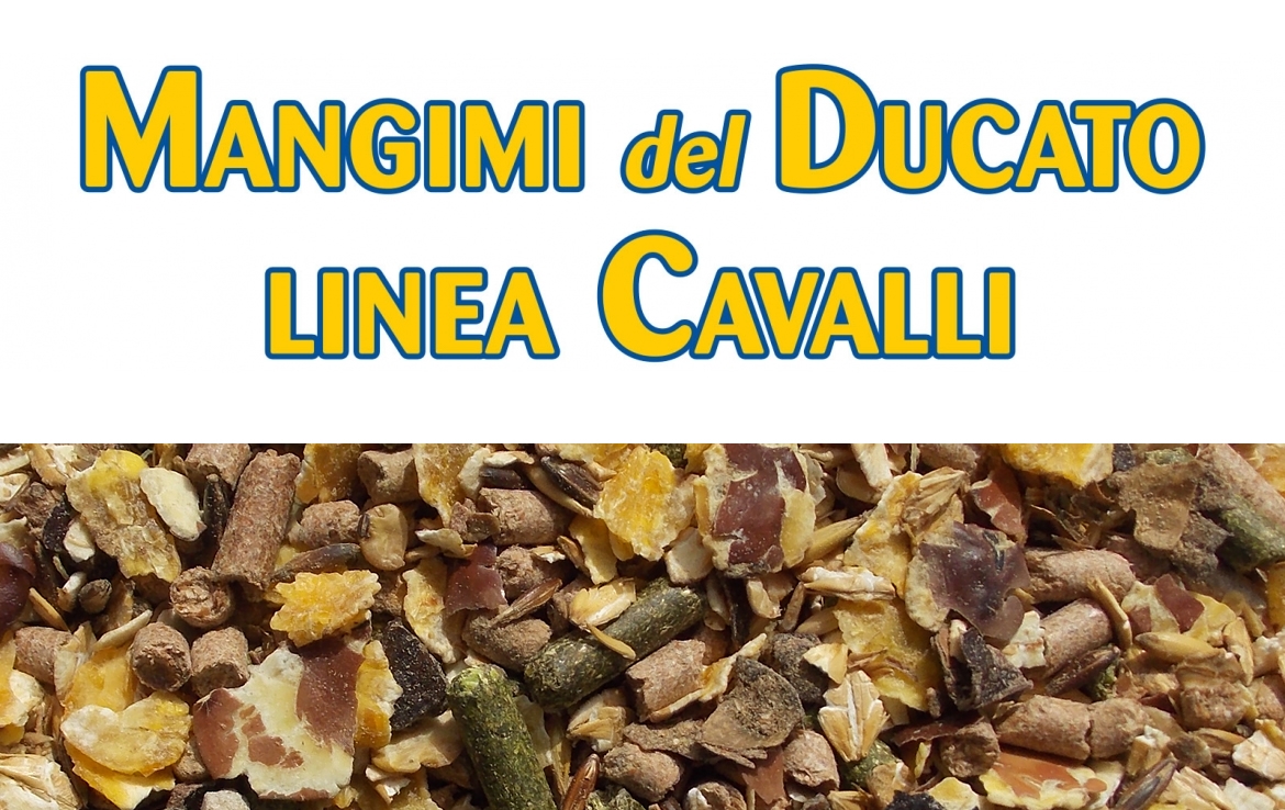 MANGIMI CAVALLI