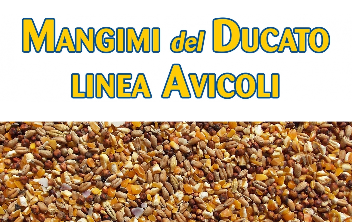 MANGIMI POLLI