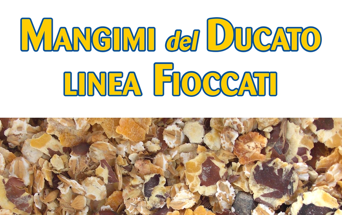 MANGIMI FIOCCATI