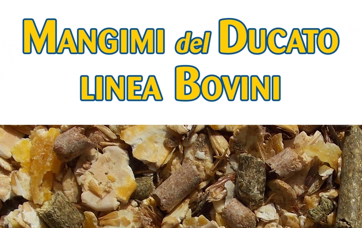MANGIMI BOVINI