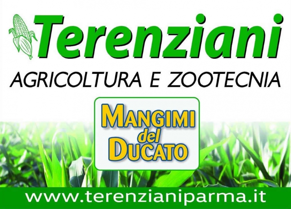 SERVIZI